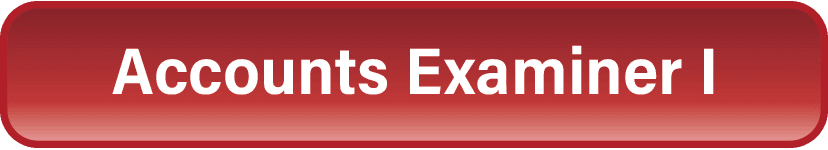 Accounts Examiner.png