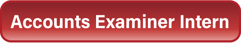 Accounts Examiner Intern.png