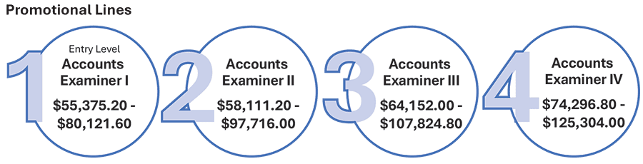 Accts-Examiner-Promo-Lines.png